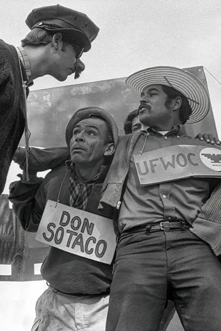 American Pachuco The Legend Of Luis Valdez